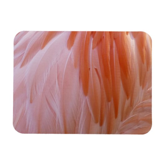 Flamingo Feathers in Pink-Schatten Magnet (Horizontal)
