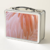 Flamingo Feathers in Pink-Schatten Metall Brotdose (Rückseite)