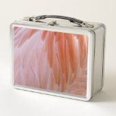 Flamingo Feathers in Pink-Schatten Metall Brotdose (Vorderseite)
