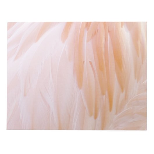 Flamingo Feathers in Pink-Schatten Notizblock (Vorderseite)