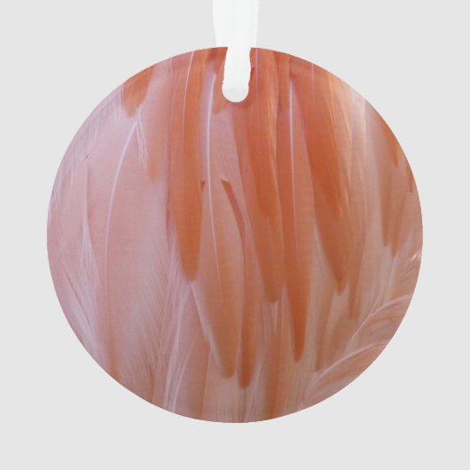 Flamingo Feathers in Pink-Schatten Ornament (Rückseite)