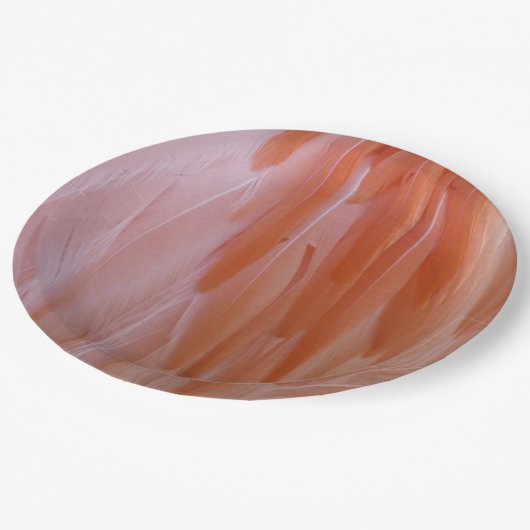 Flamingo Feathers in Pink-Schatten Pappteller (Schrägansicht)