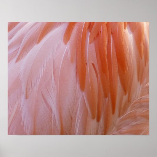 Flamingo Feathers in Pink-Schatten Poster (Vorne)