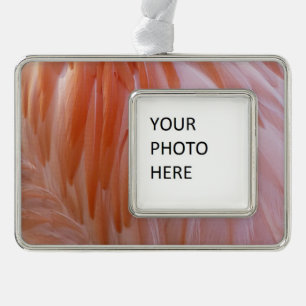 Flamingo Feathers in Pink-Schatten Rahmen-Ornament Silber