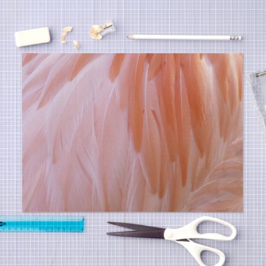 Flamingo Feathers in Pink-Schatten Seidenpapier (Handwerk)