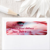 Flamingo Feathers Mailing Label (Insitu)