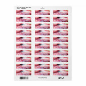 Flamingo Feathers Mailing Label (Vorne)