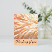 Flamingo feathers_ postkarte (Stehend Vorderseite)