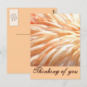 Flamingo feathers_ postkarte (Vorne/Hinten)