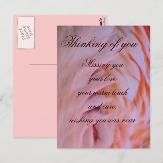 Flamingo feathers_ postkarte (Vorne/Hinten)