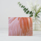 Flamingo Federn in Rosa-Tönen (Stehend Vorderseite)