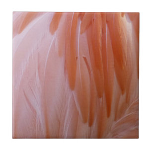 Flamingo Federn in Rosa-Tönen Fliese