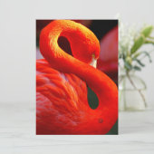 Flamingo Feiertagskarte (Stehend Vorderseite)