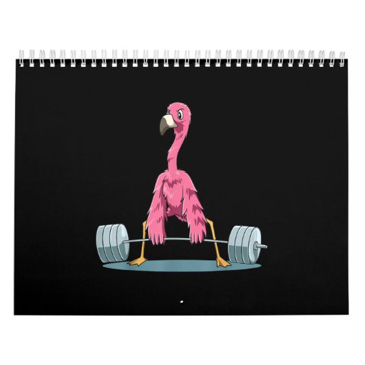 Flamingo-Feuerwerk Kalender (Titelbild)