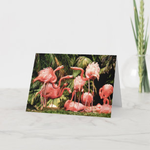 Flamingo Flamboyance Geburtstagskarte Karte