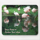 Flamingo Flamboyant Mousepad (Vorne)