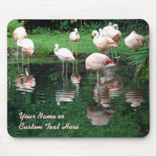 Flamingo Flamboyant Mousepad