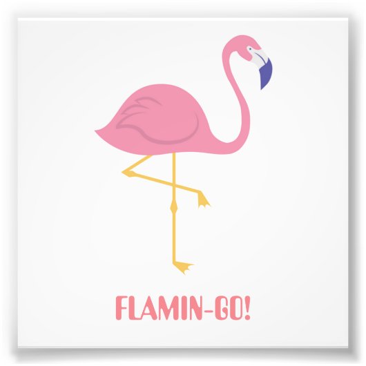 Flamingo (Flamin-Go!) Fotodruck (Vorne)