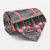 FLAMINGO, FLAMINGO, FLAMINGO, FLAMINGO, FLAMMEND… KRAWATTE (Gerollt)