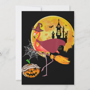Flamingo   Flamingo reitet Besen Kürbis Halloween Feiertagskarte