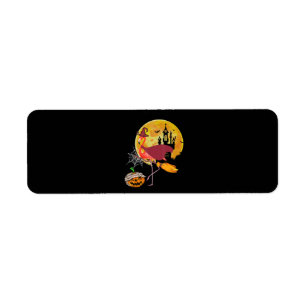 Flamingo Flamingo Riding Broom Pumpkin Halloween