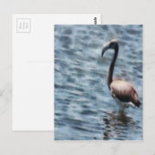 Flamingo Fledgling Watercolor Postkarte (Vorne/Hinten)