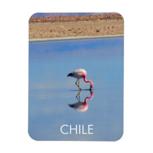 Flamingo Flexible Magnet