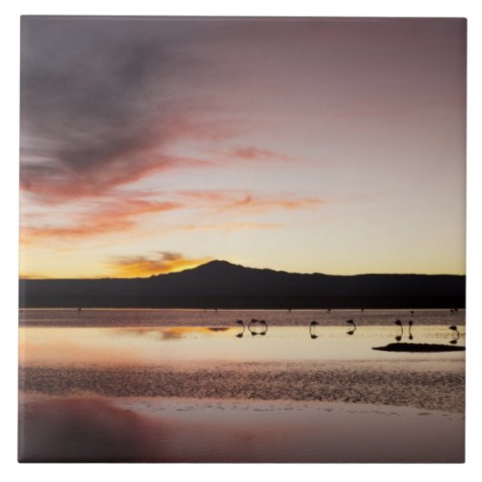 Flamingo Fliese (Vorderseite)