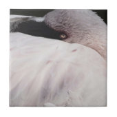 Flamingo Fliese (Vorderseite)