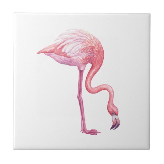 Flamingo Fliese (Vorderseite)