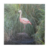 Flamingo Fliese (Vorderseite)