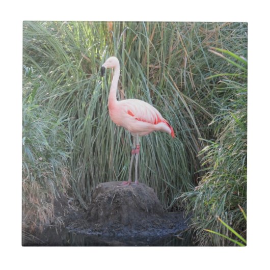 Flamingo Fliese (Vorderseite)