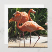Flamingo Flock Einladung (Vorne/Hinten)