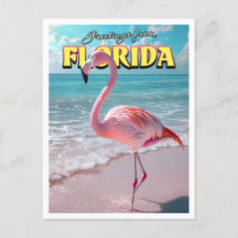 Flamingo Florida Postcard Postkarte
