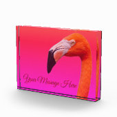 Flamingo fotoblock (Rechts)