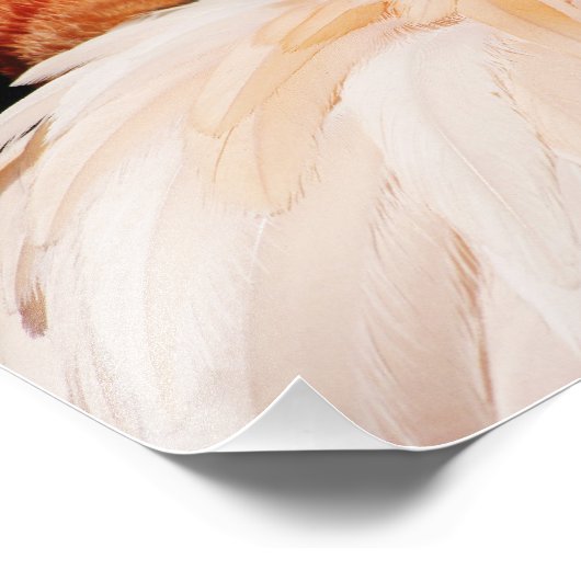 Flamingo Fotodruck (Ecke)