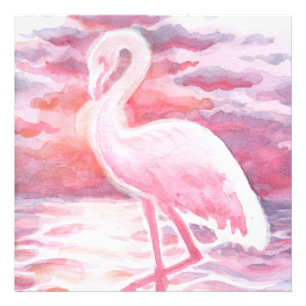 Flamingo Fotodruck