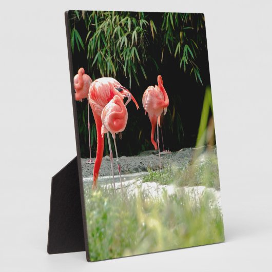 Flamingo Fotoplatte (Seite)