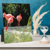 Flamingo Fotoplatte (Seite)