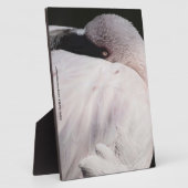 Flamingo Fotoplatte (Seite)