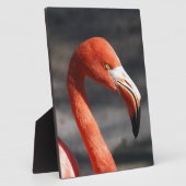Flamingo Fotoplatte (Seite)