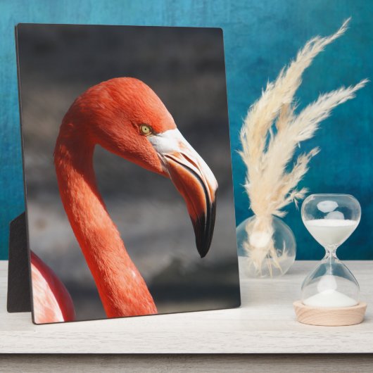 Flamingo Fotoplatte (Seite)