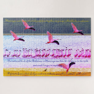 Flamingo Fun 20"x30" - 1,014 Stück Puzzle