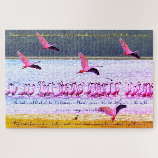 Flamingo Fun 20"x30" - 1,014 Stück Puzzle (Horizontal)