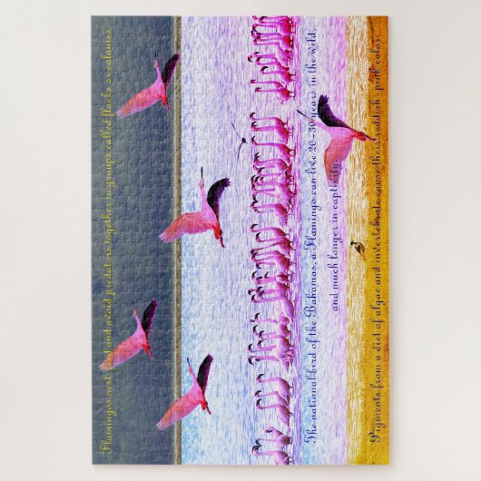 Flamingo Fun 20"x30" - 1,014 Stück Puzzle (Vertikal)