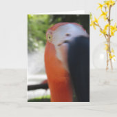 Flamingo Funny Grußkarte für jedermann Karte (Gelbe Blume)