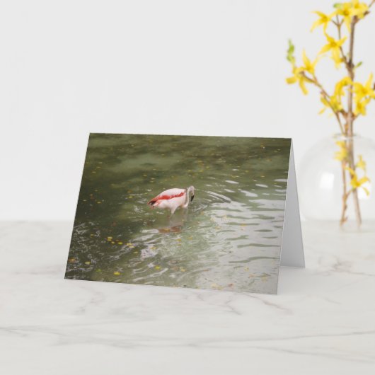 "Flamingo Fütternd" Dankeschön Karte (Gelbe Blume)