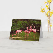 Flamingo Geburtstagskarte Karte (Gelbe Blume)