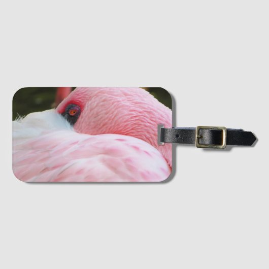 Flamingo Gepäckanhänger (Vorderseite (Horizontal))