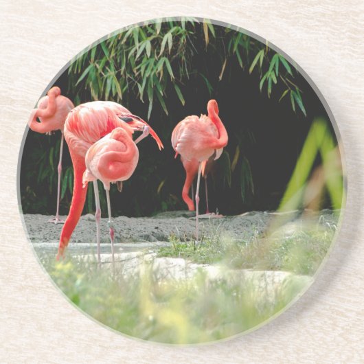 Flamingo Getränkeuntersetzer (Vorne)